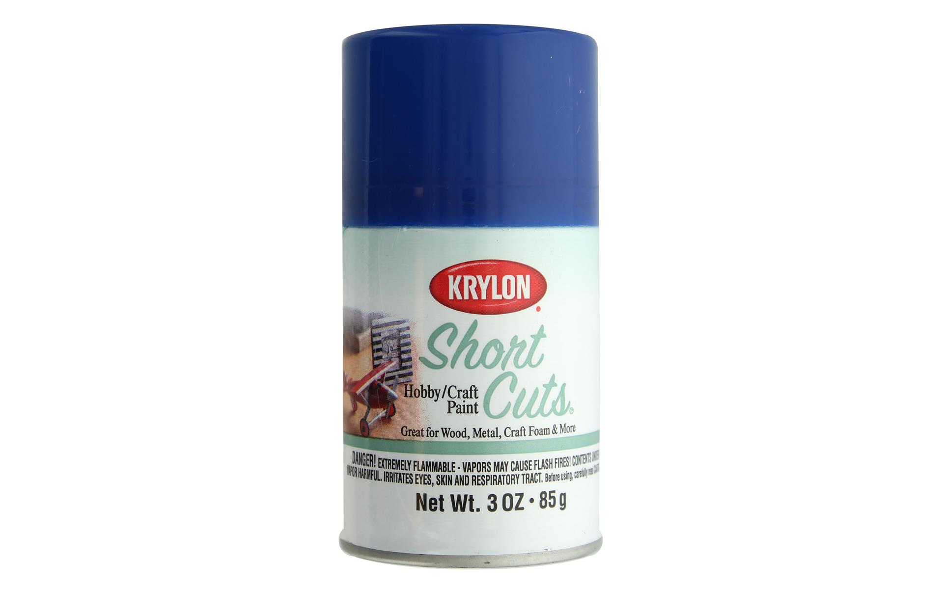 Krylon Shortcuts Aerosol Paint 3oz Forever Blue eBay