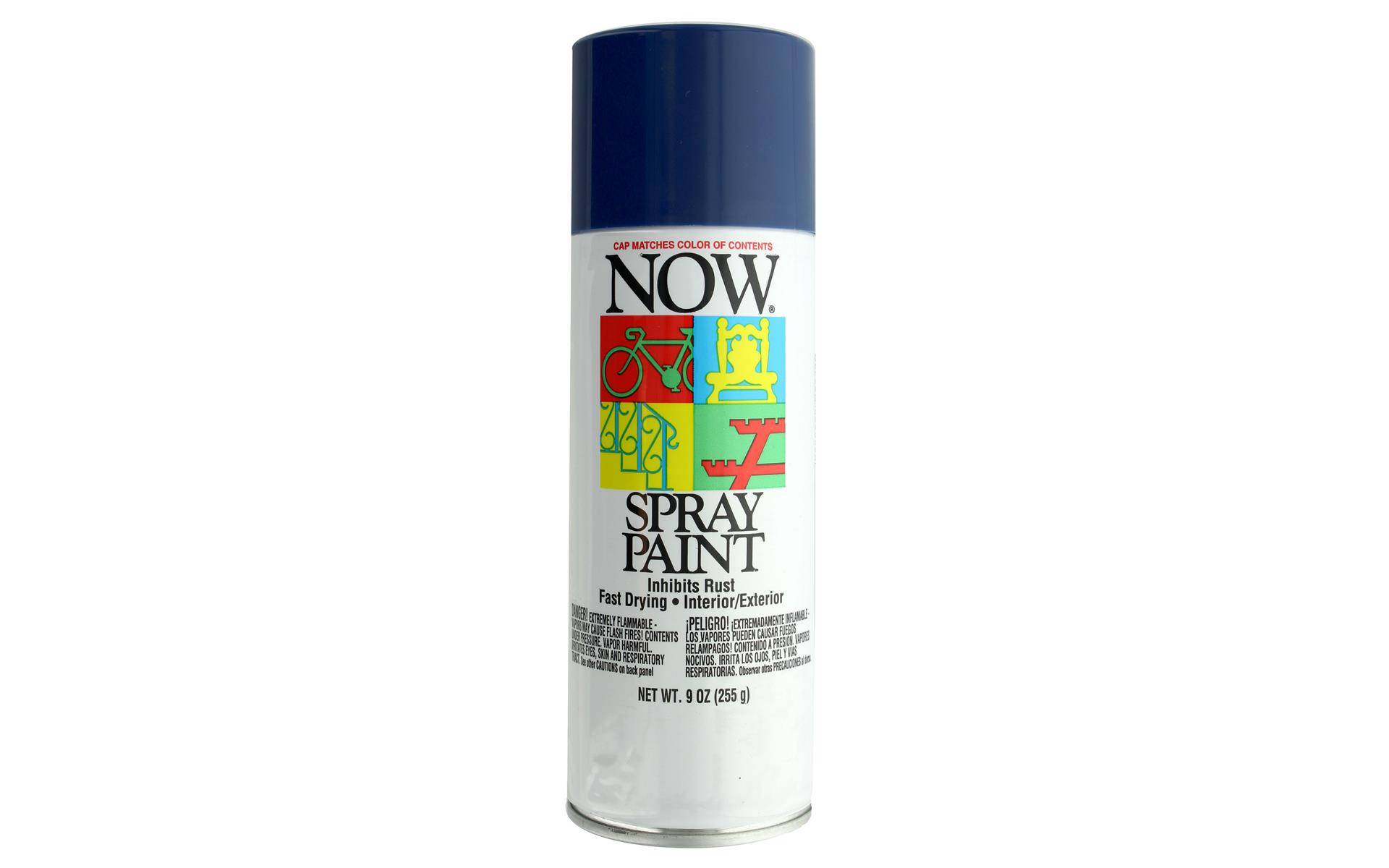Krylon Now Spray Paint 9oz Royal Blue eBay