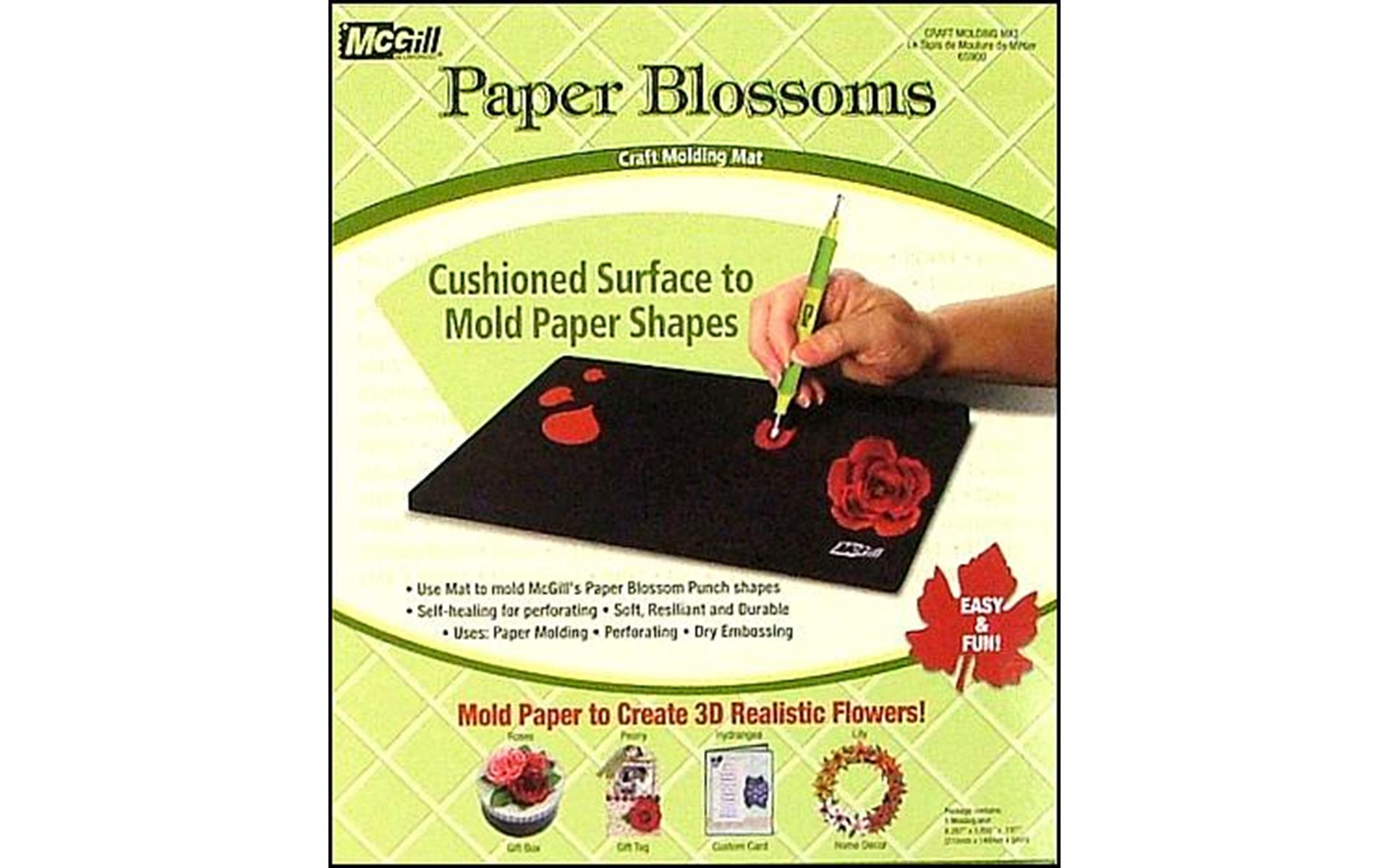 Mcgill requirements for international students image