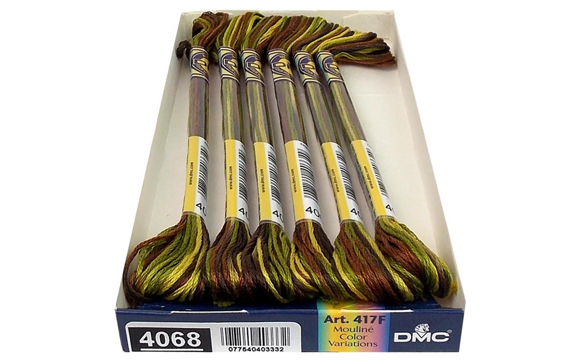 DMC Color Variations Variegated Floss 4068 eBay